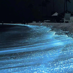 脱女学生小内内摸出水了网站
