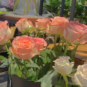 脱女学生小内内摸出水了网站
